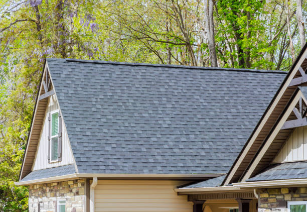 Best Solar Panel Roofing Installation  in Niagara, WI